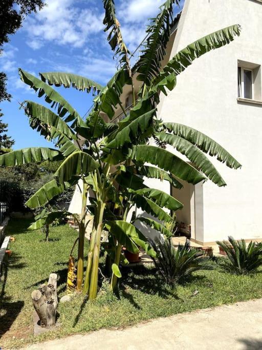 Casa Woow Apartment Carini Exterior photo